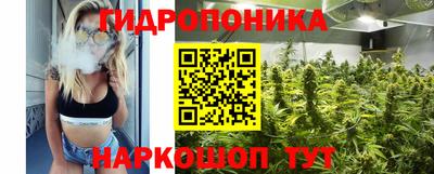spice Кинель
