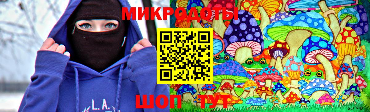 Псилоцибиновые грибы Cubensis  Вход с VPN  Чехов 