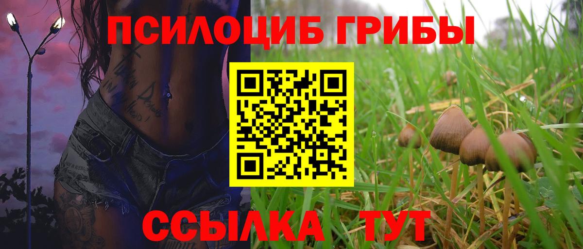 Псилоцибиновые грибы мухоморы Чехов